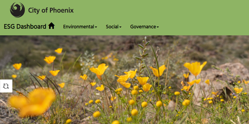 environmental-social-governance-esg-dashboard